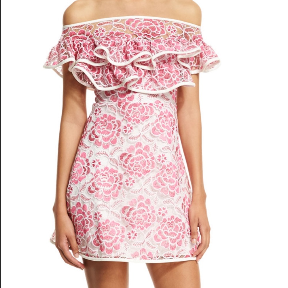 Alexis Paula Lace Mini Dress Pink Off Shoulder Ruffles Popover Floral Coquette
